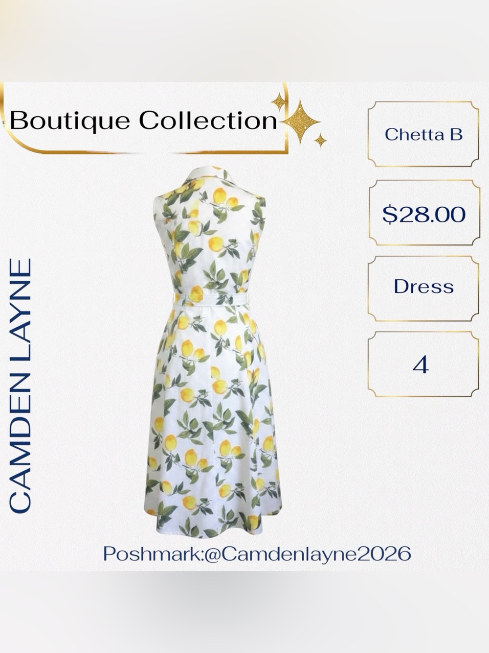 Chetta B White Maxi Dress with Lemon Print and Green Leaves - Picture 4 of 9